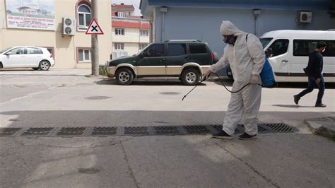 nilüfer belediyesi böcek ilaçlama